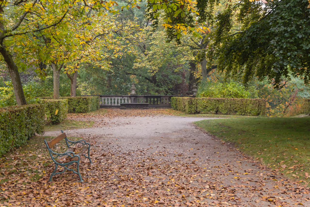 Würzburg Residence, Palace Park