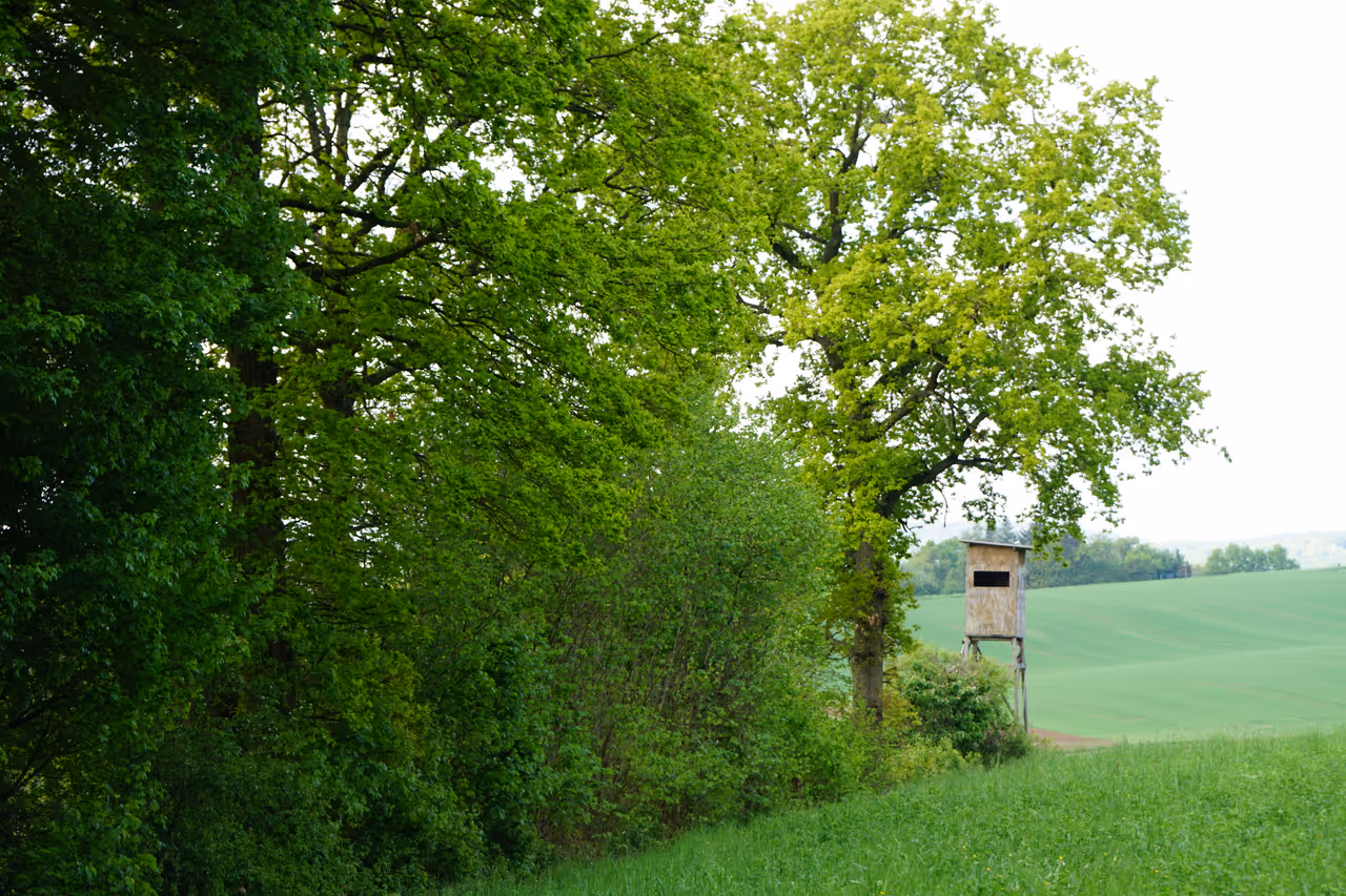 Forest trail cycling in Würzburg