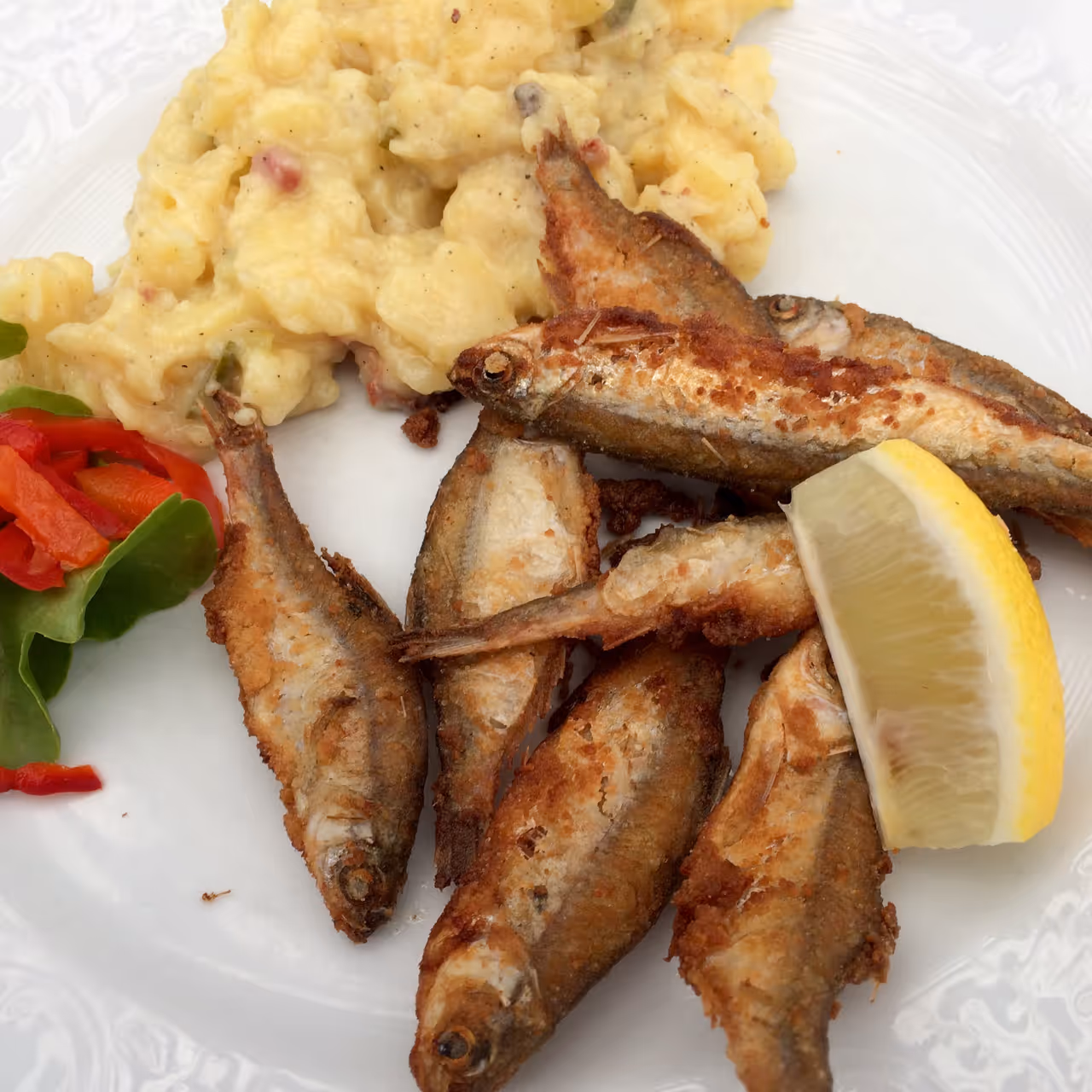 Little main river fish food in Würzburg