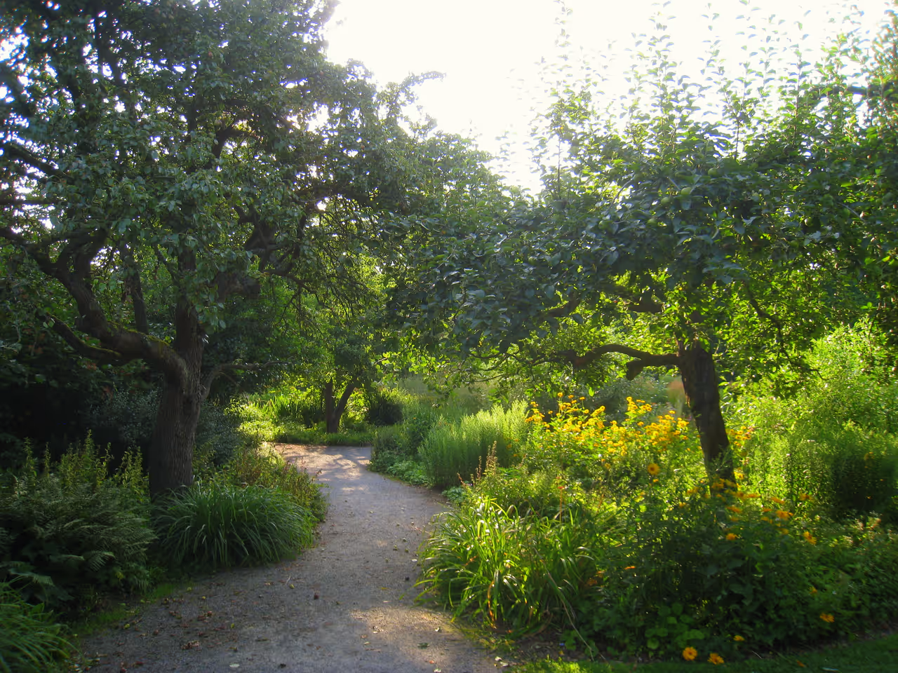 1990 state garden show park in Würzburg