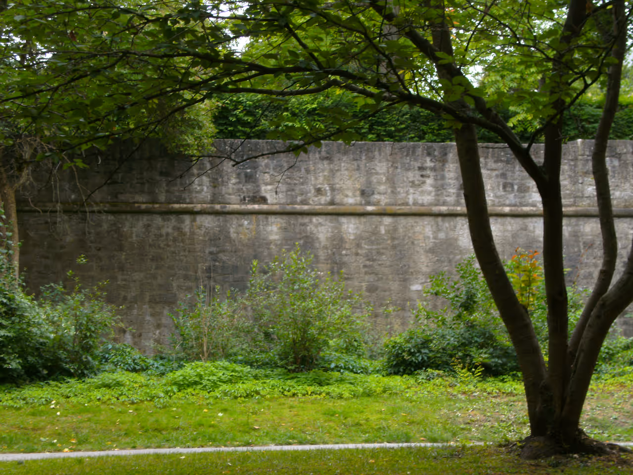 A wall in the Ringpark in Würzburg