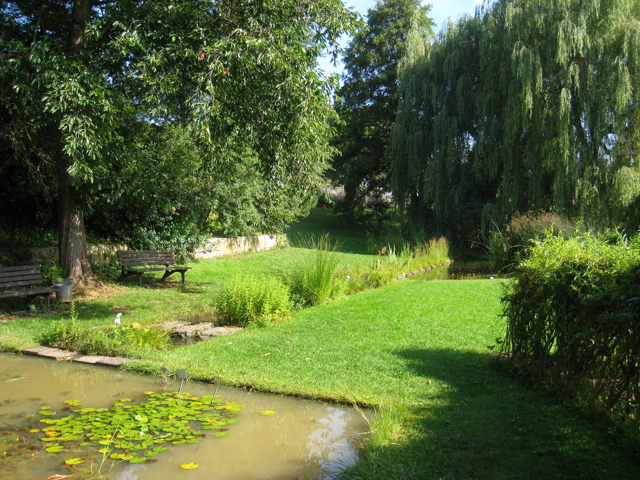 Benches at the University botanical garden in Würzburg