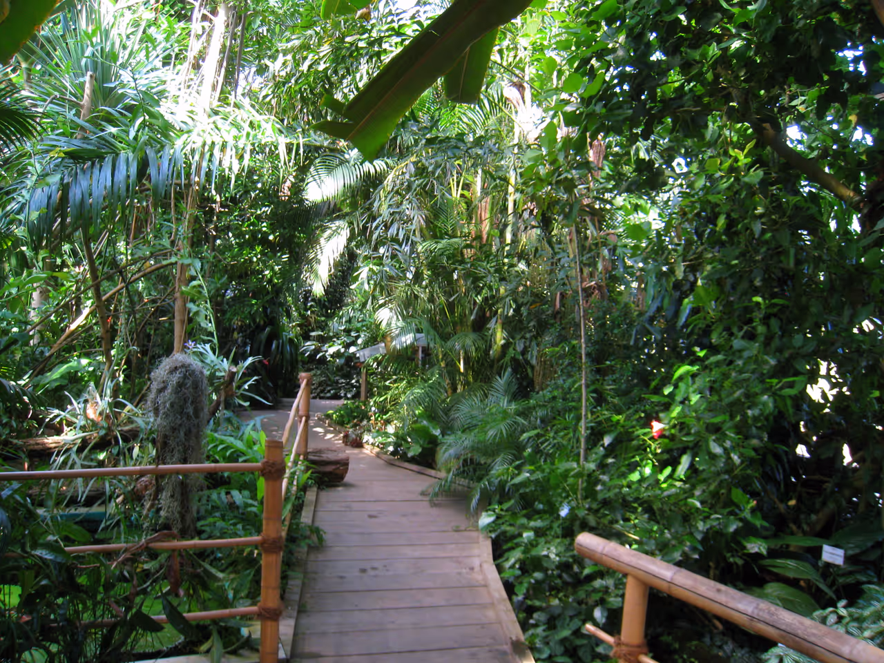 University botanical garden in Würzburg