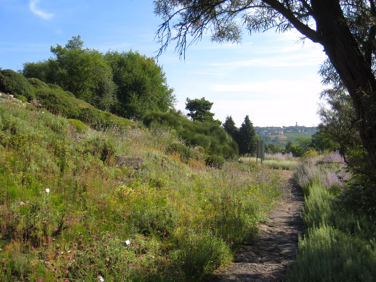 University botanical garden in Würzburg