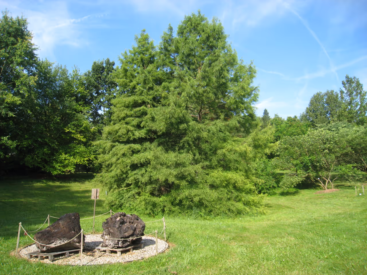 University botanical garden in Würzburg