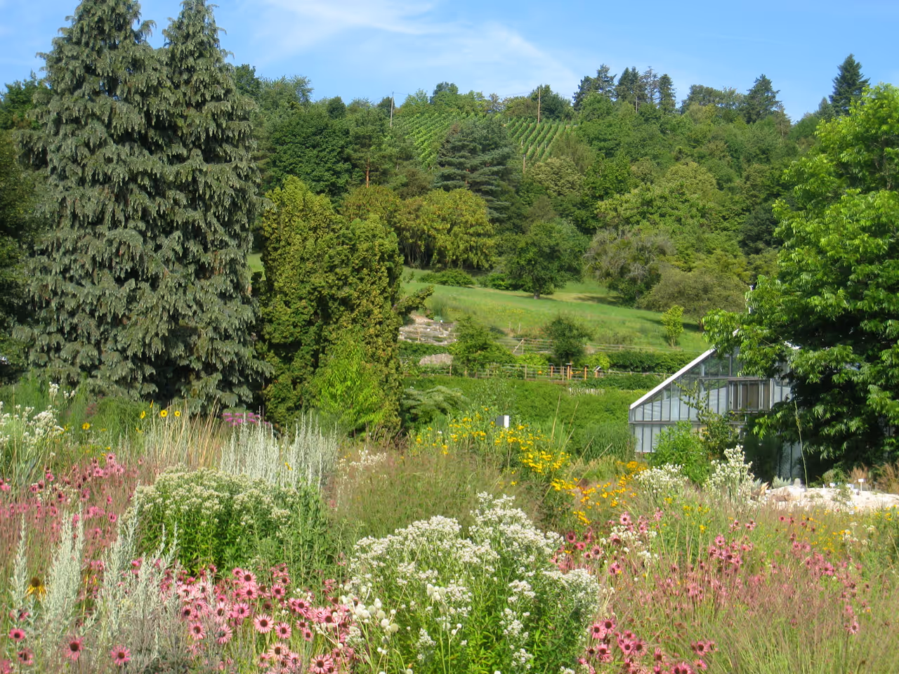 University botanical garden in Würzburg