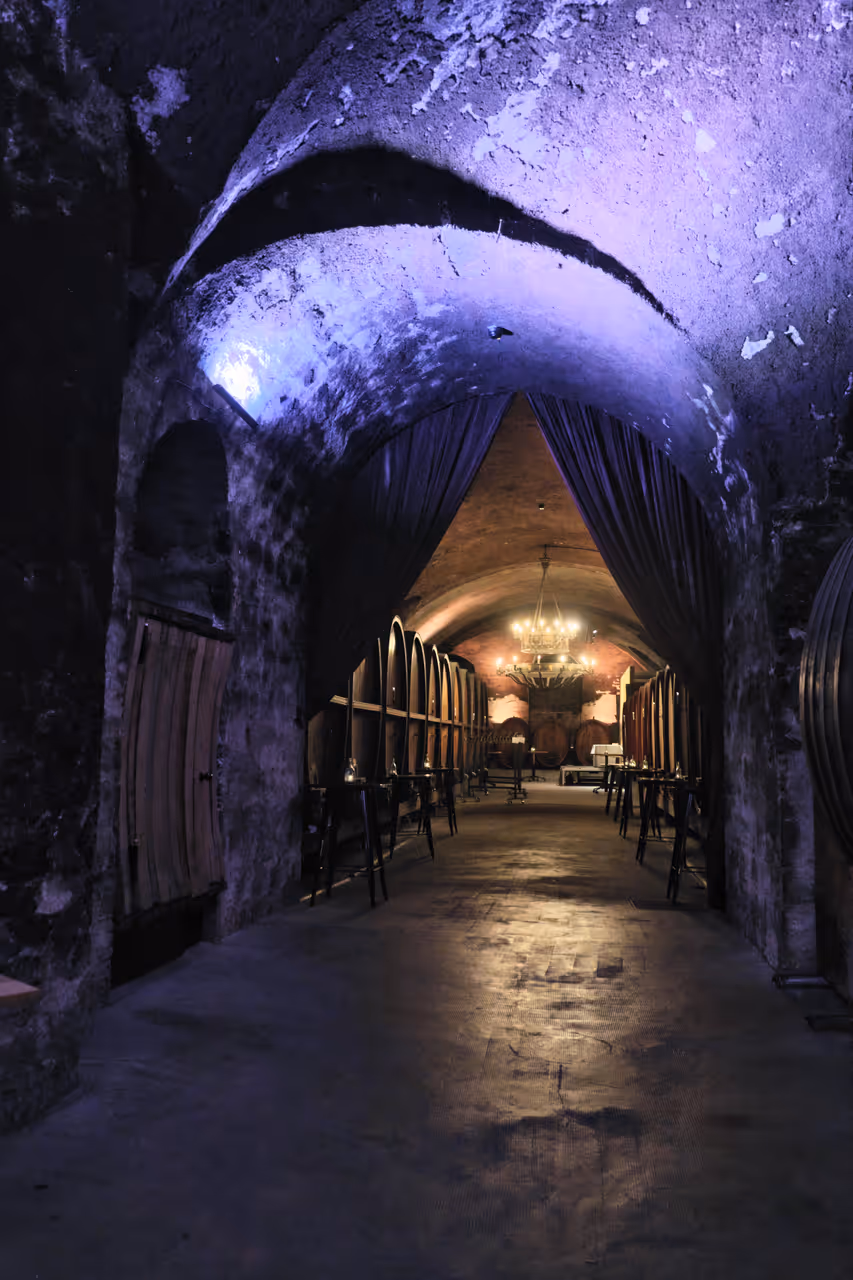 State Court Cellar of the Residence in Würzburg