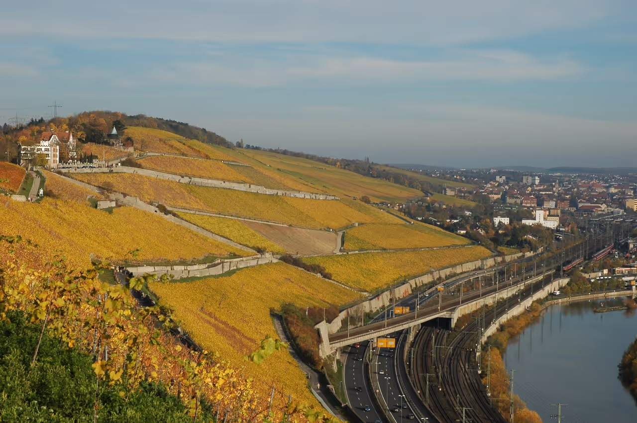View of the Stein vineyard paths in Würzburg