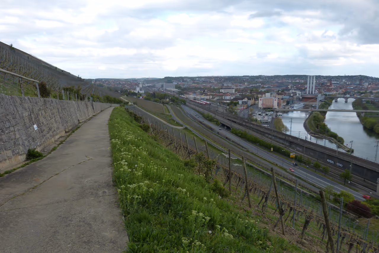 View from the Stein vineyard paths in Würzburg