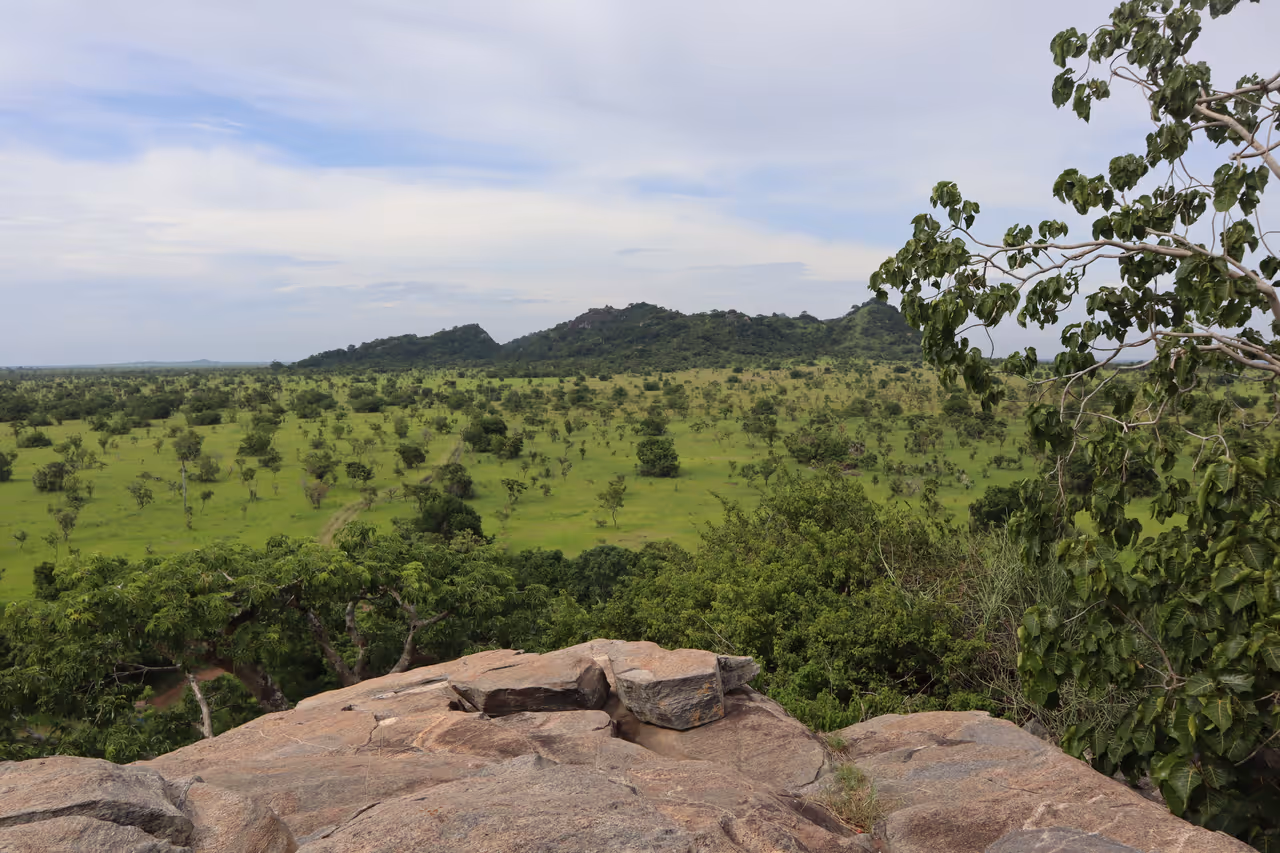 Wildlife viewing in Accra