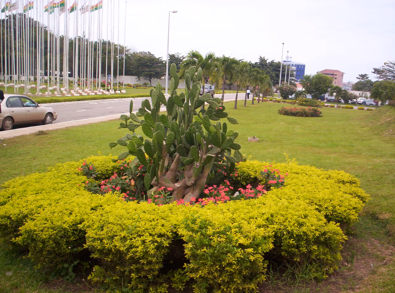 Flowers at International Conference Center in Accra