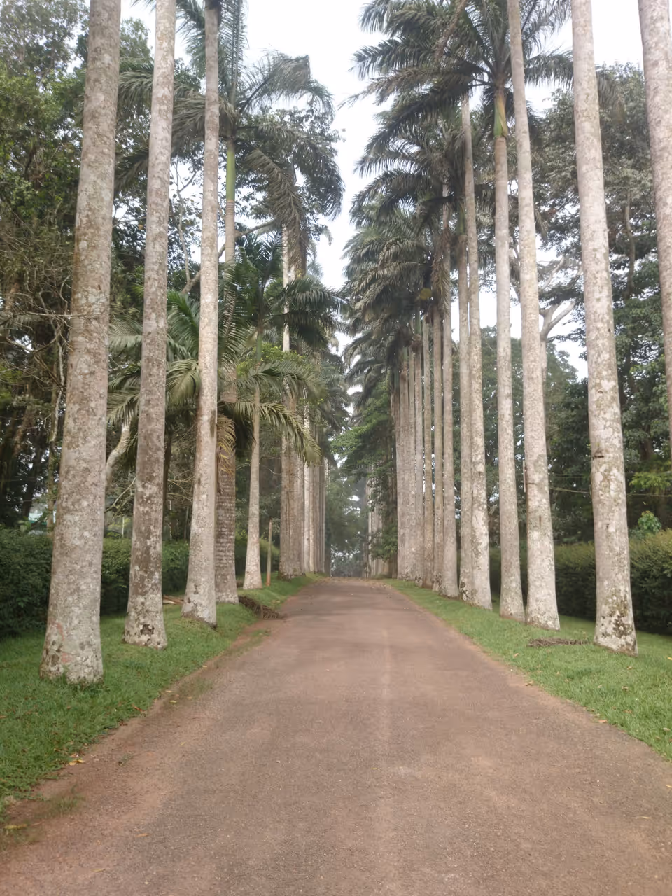 Aburi mountain climb cycling in Accra