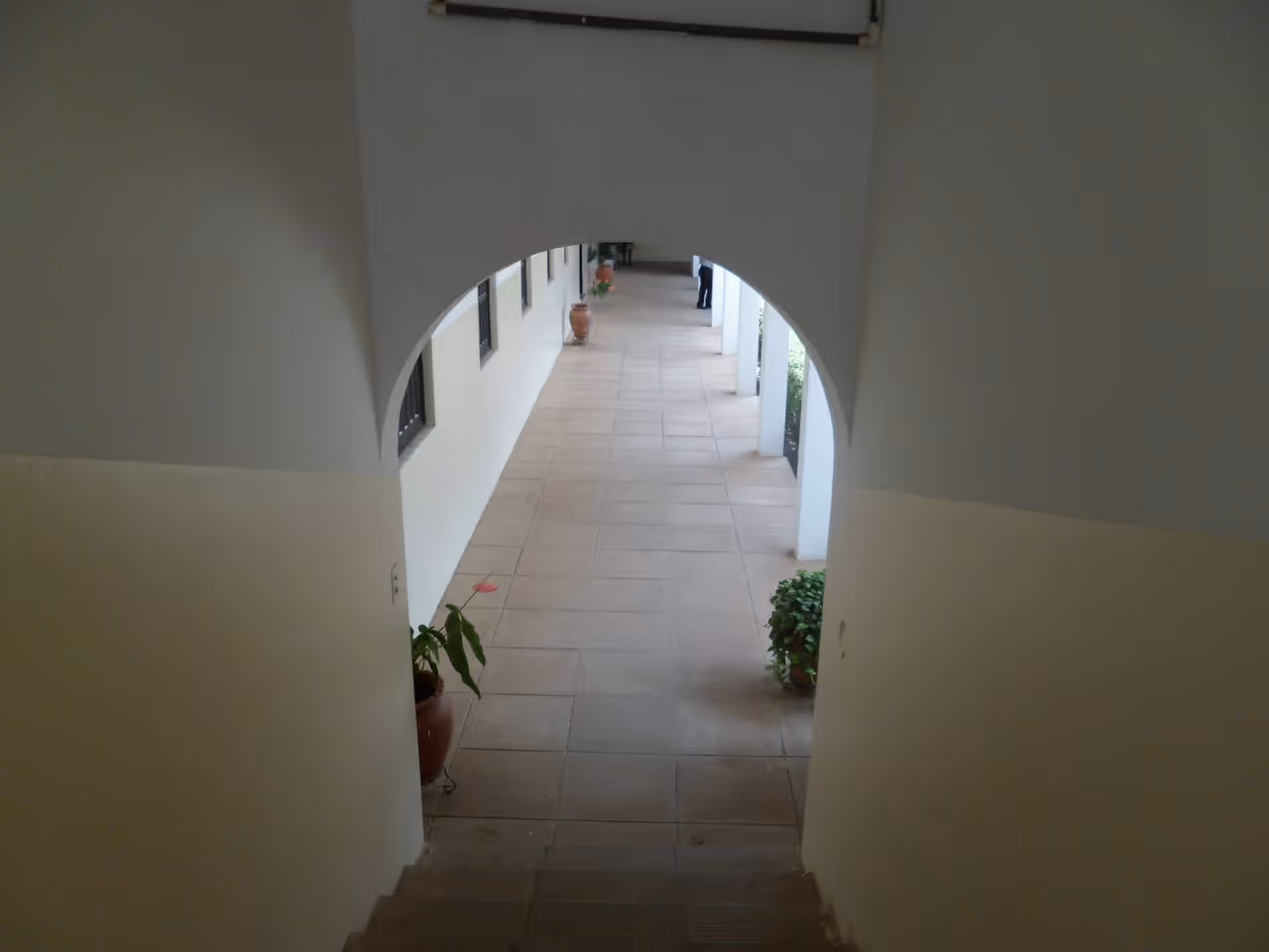 Stroll the legon campus free activity in Accra
