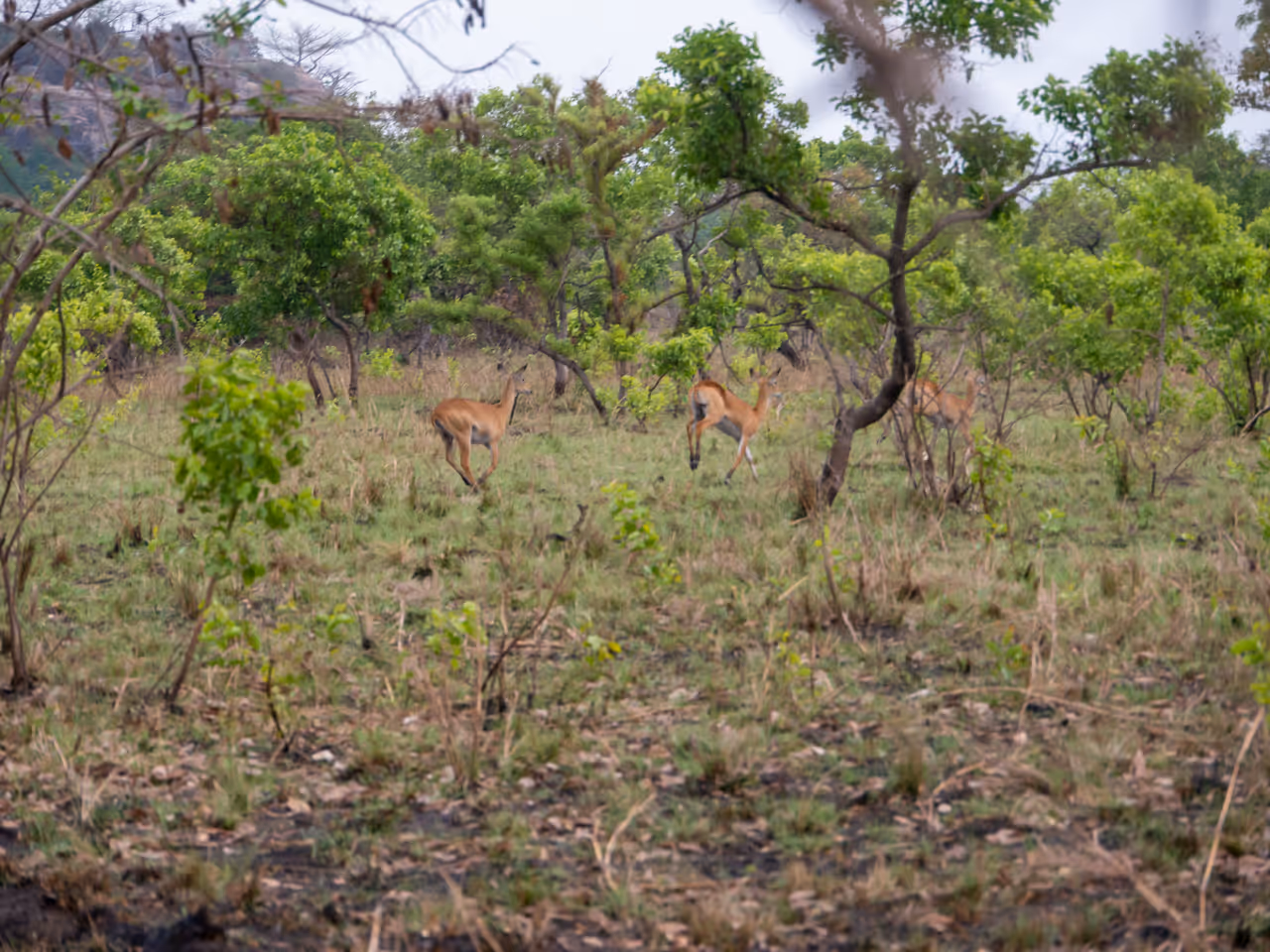 Shai hills resource reserve in Accra