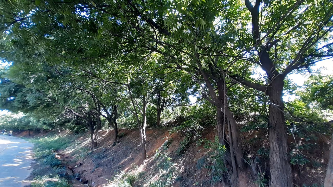 Explore achimota forest reserve in Accra