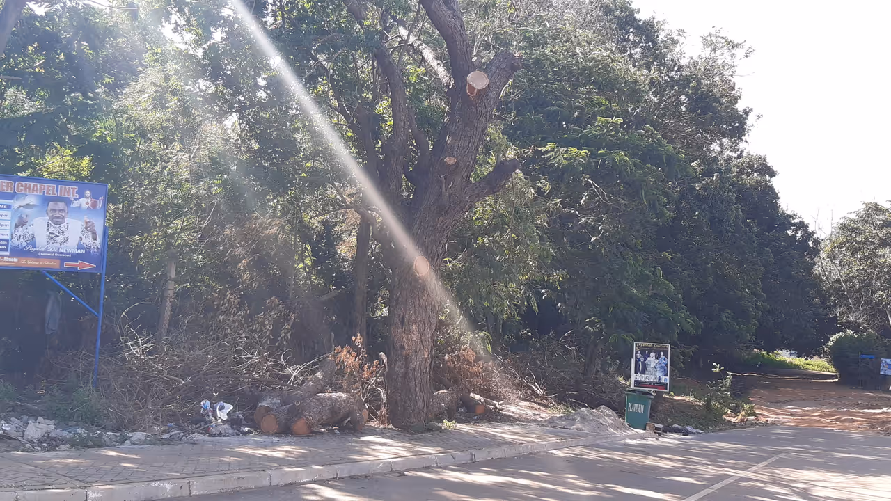 Explore achimota forest reserve in Accra
