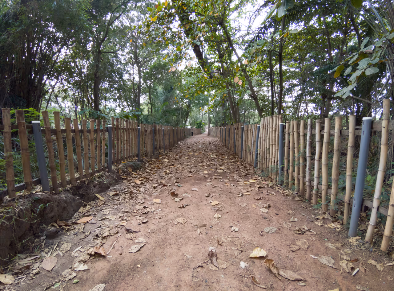 Legon botanical gardens in Accra