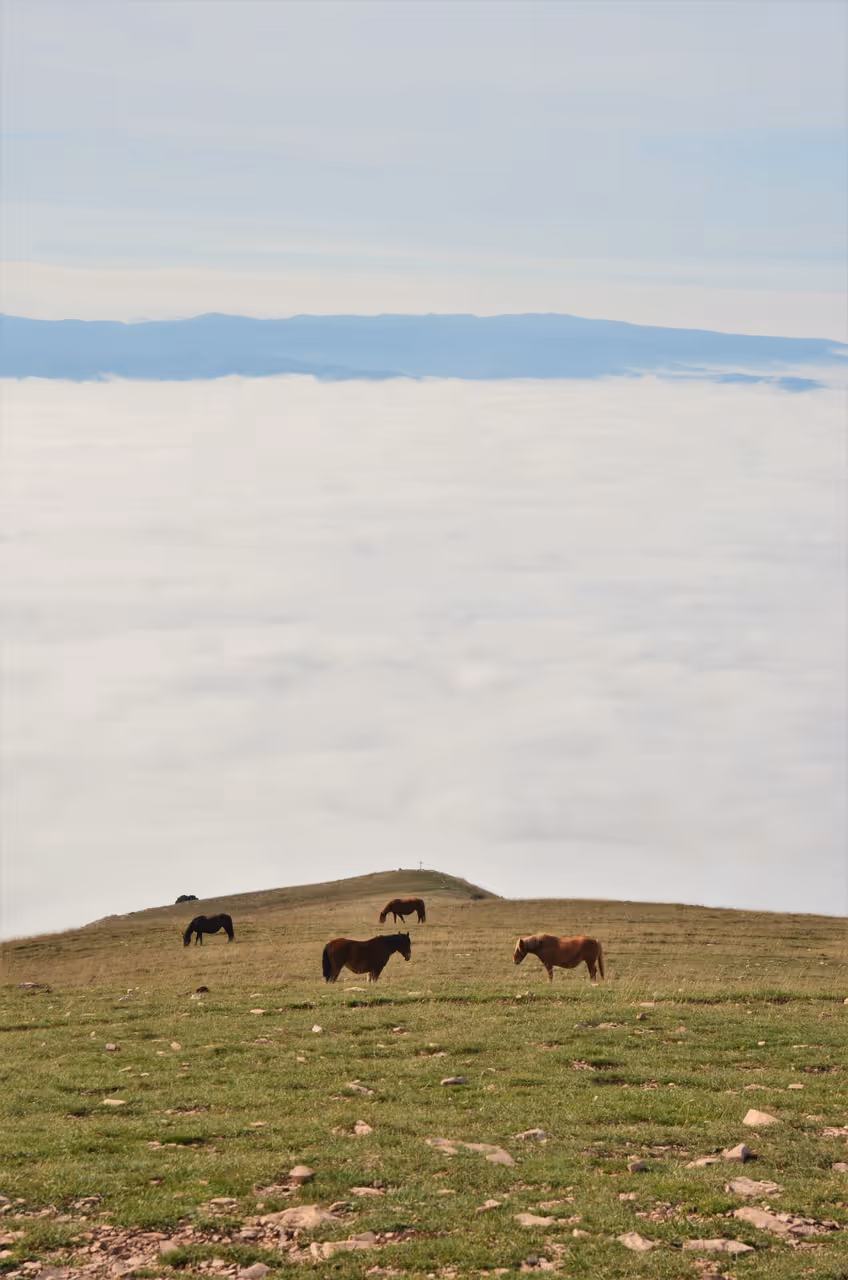 Hiking mount subasio in Assisi