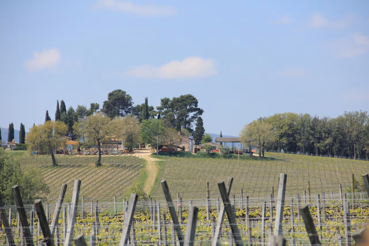 Umbrian wine tasting in Assisi