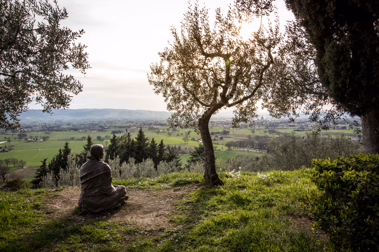 Assisi nature, with a monk statue