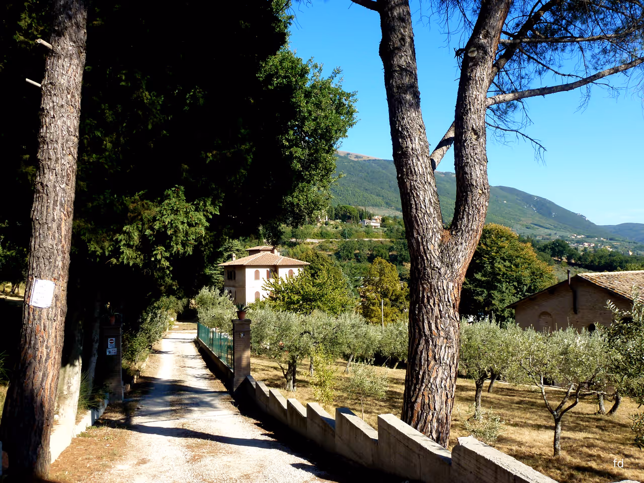 Church of san damiano in Assisi