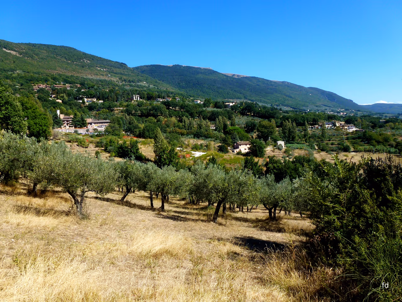 Church of san damiano in Assisi