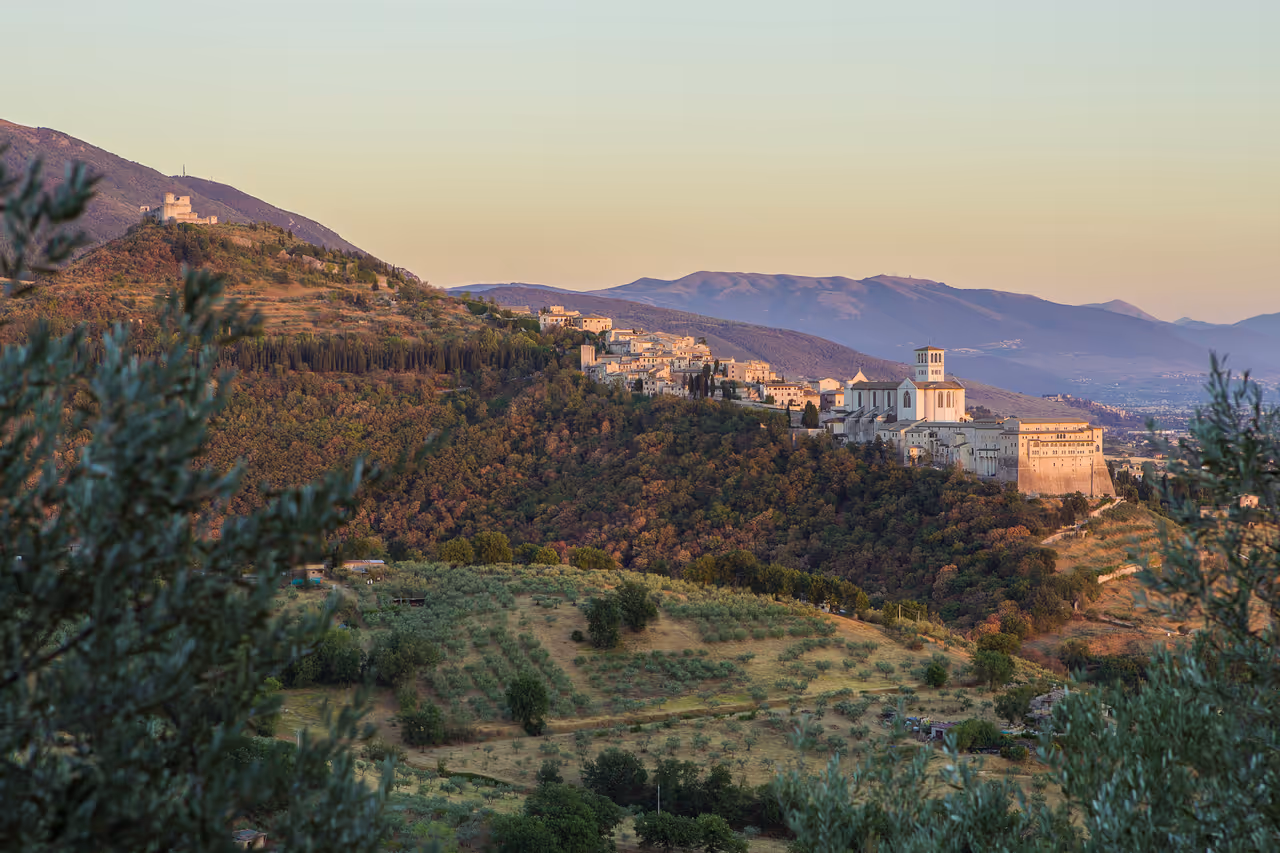 Forest of saint francis in Assisi