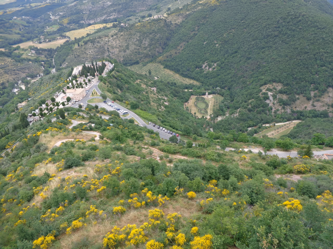 Forest of saint francis in Assisi