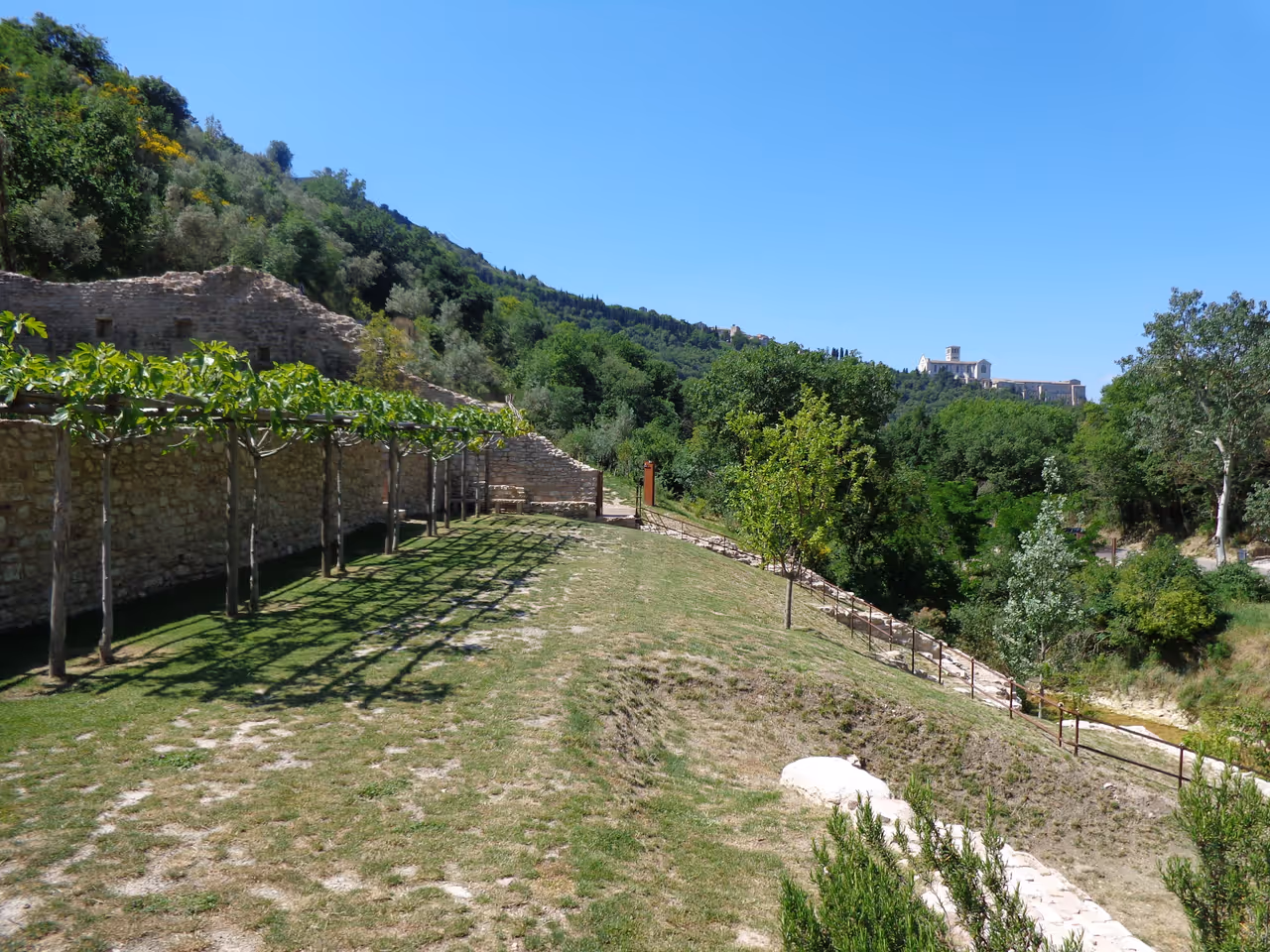 Forest of saint francis in Assisi