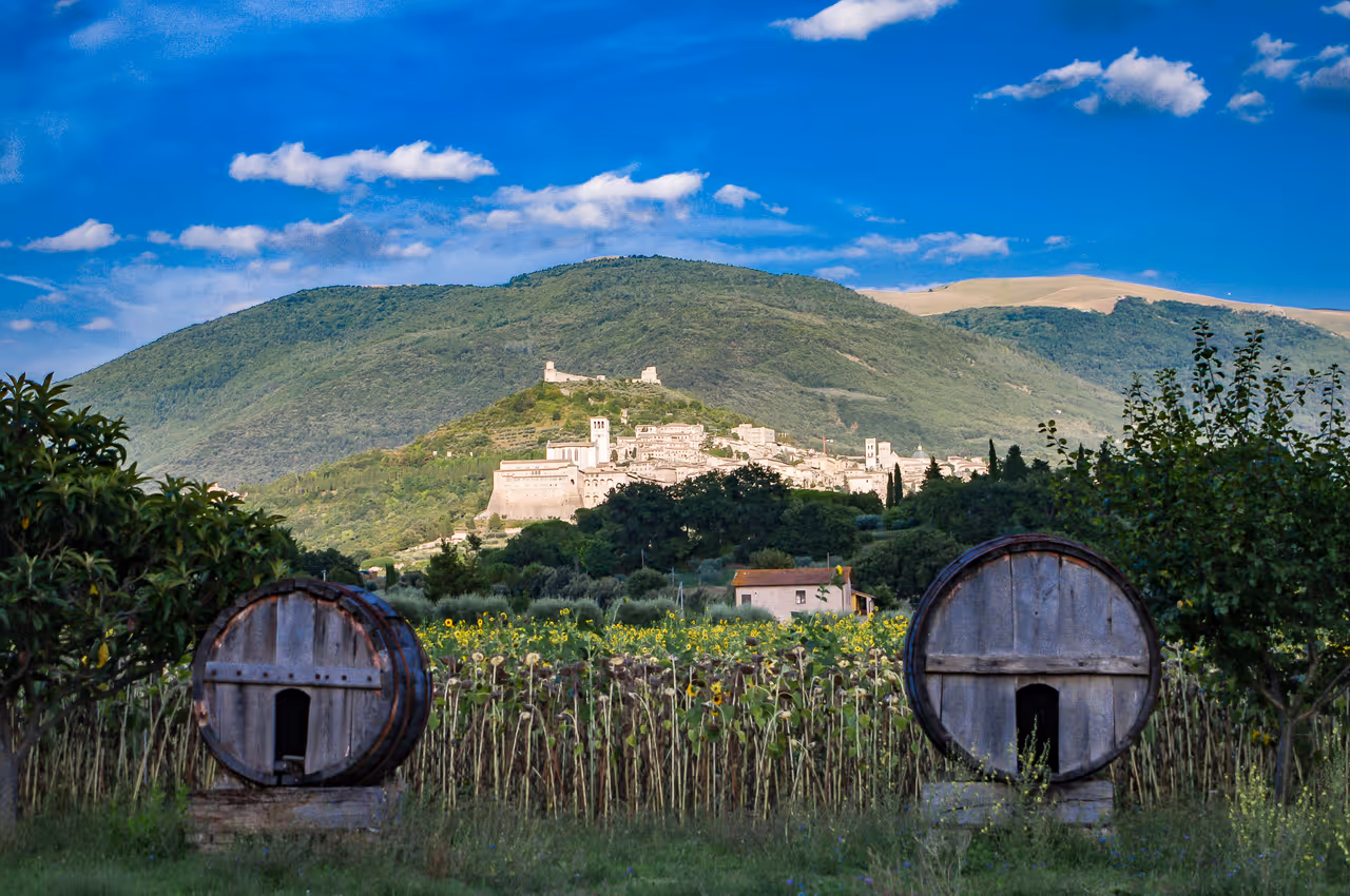 Summer highlight in Assisi