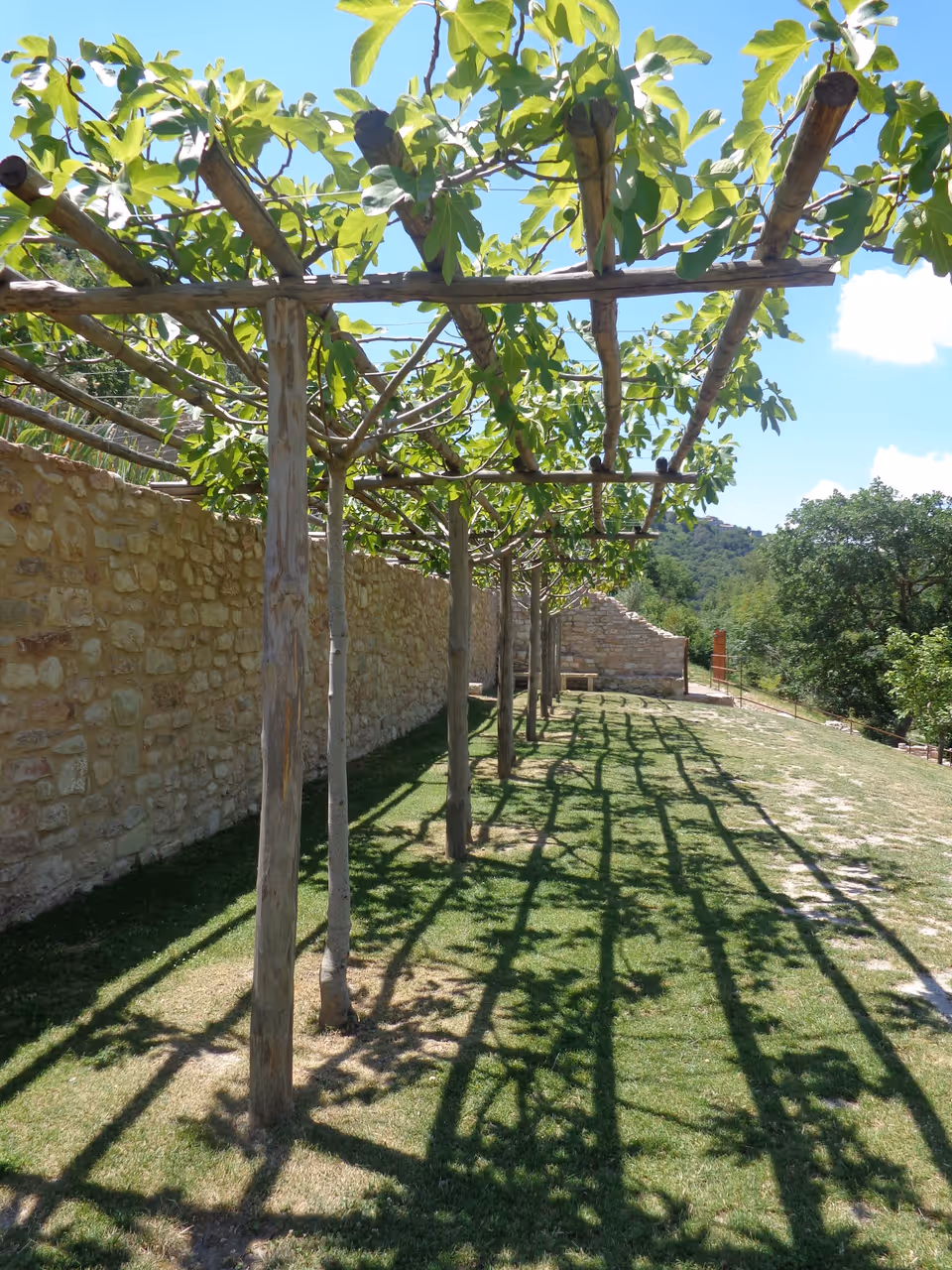 Summer highlight in Assisi