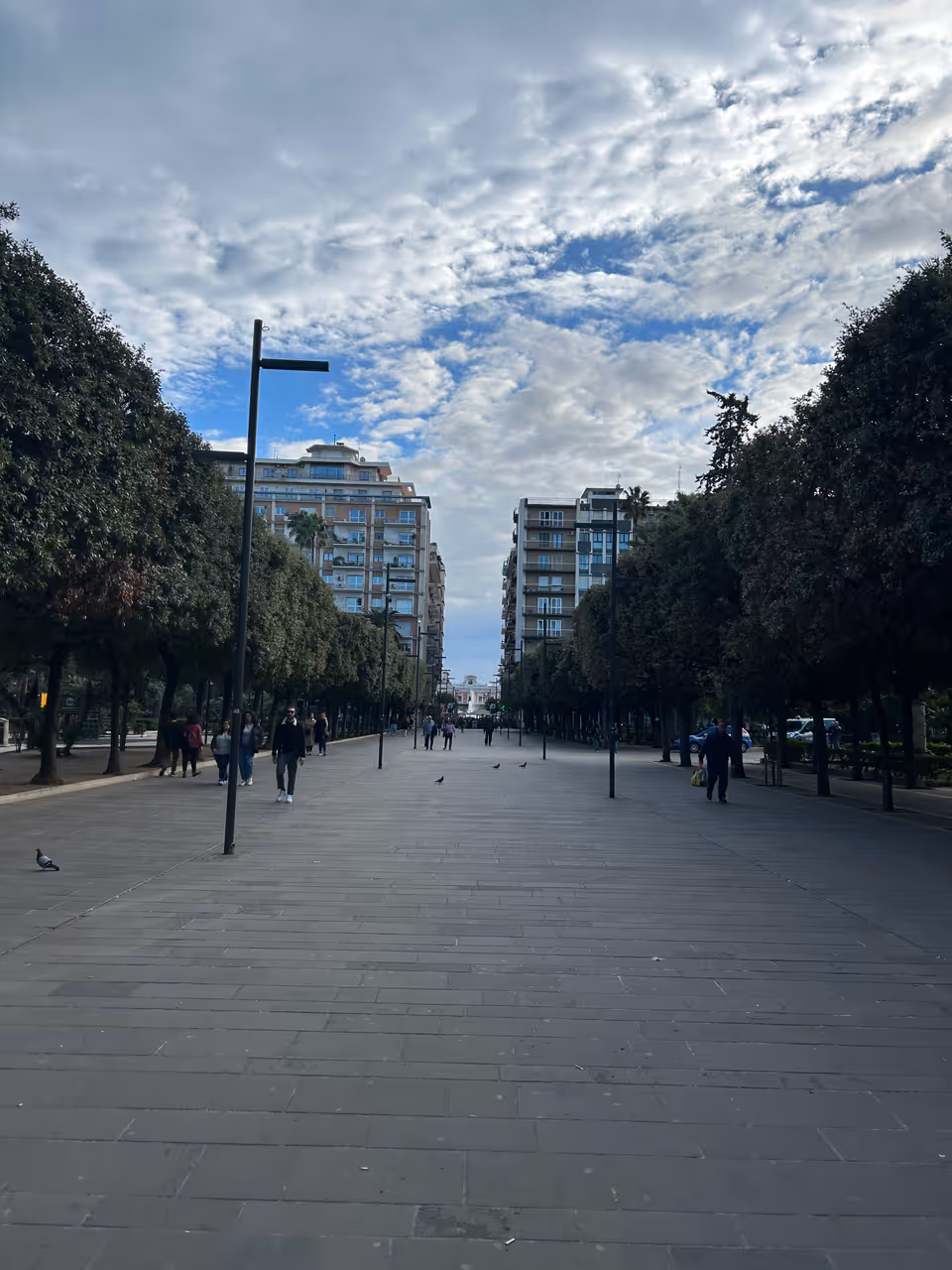 Sparano street in Bari