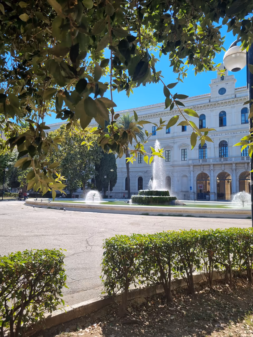 Autumn highlight in Bari