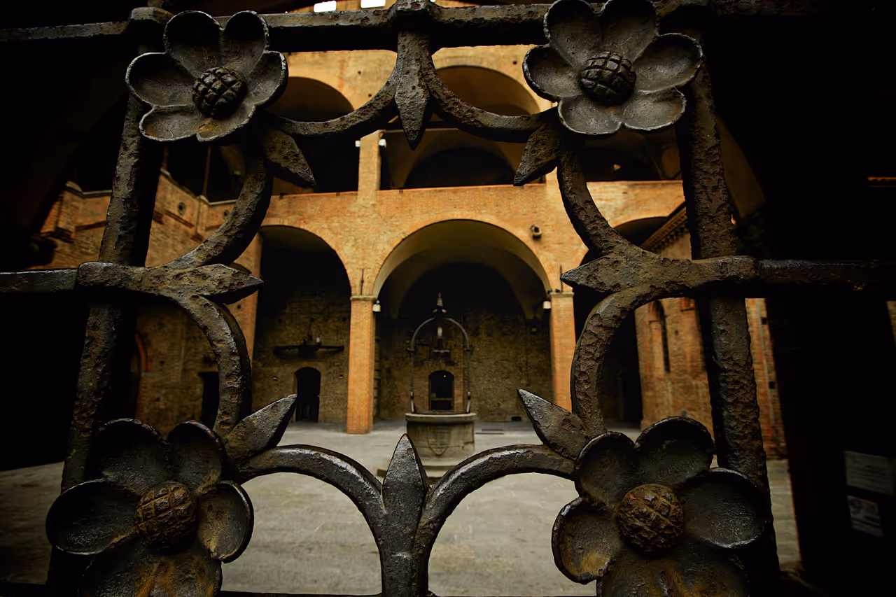 King enzo palace in Bologna