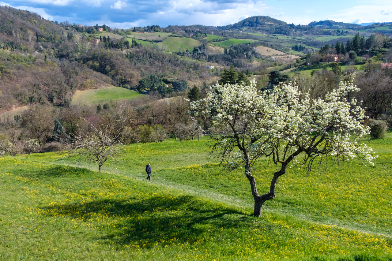 Parco del Pellegrino, Bologna