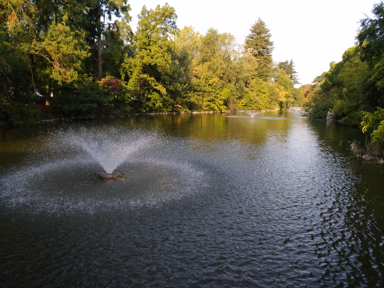 Margherita Gardens Pond