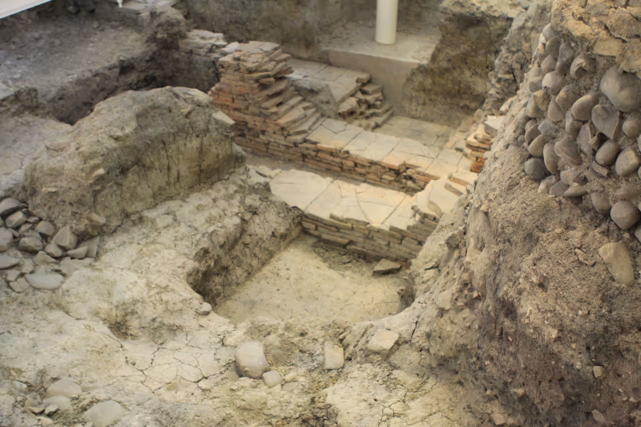 Explore the salaborsa ruins free activity in Bologna
