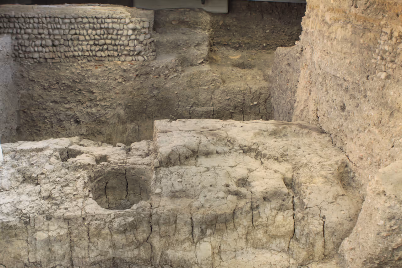Explore the salaborsa ruins free activity in Bologna