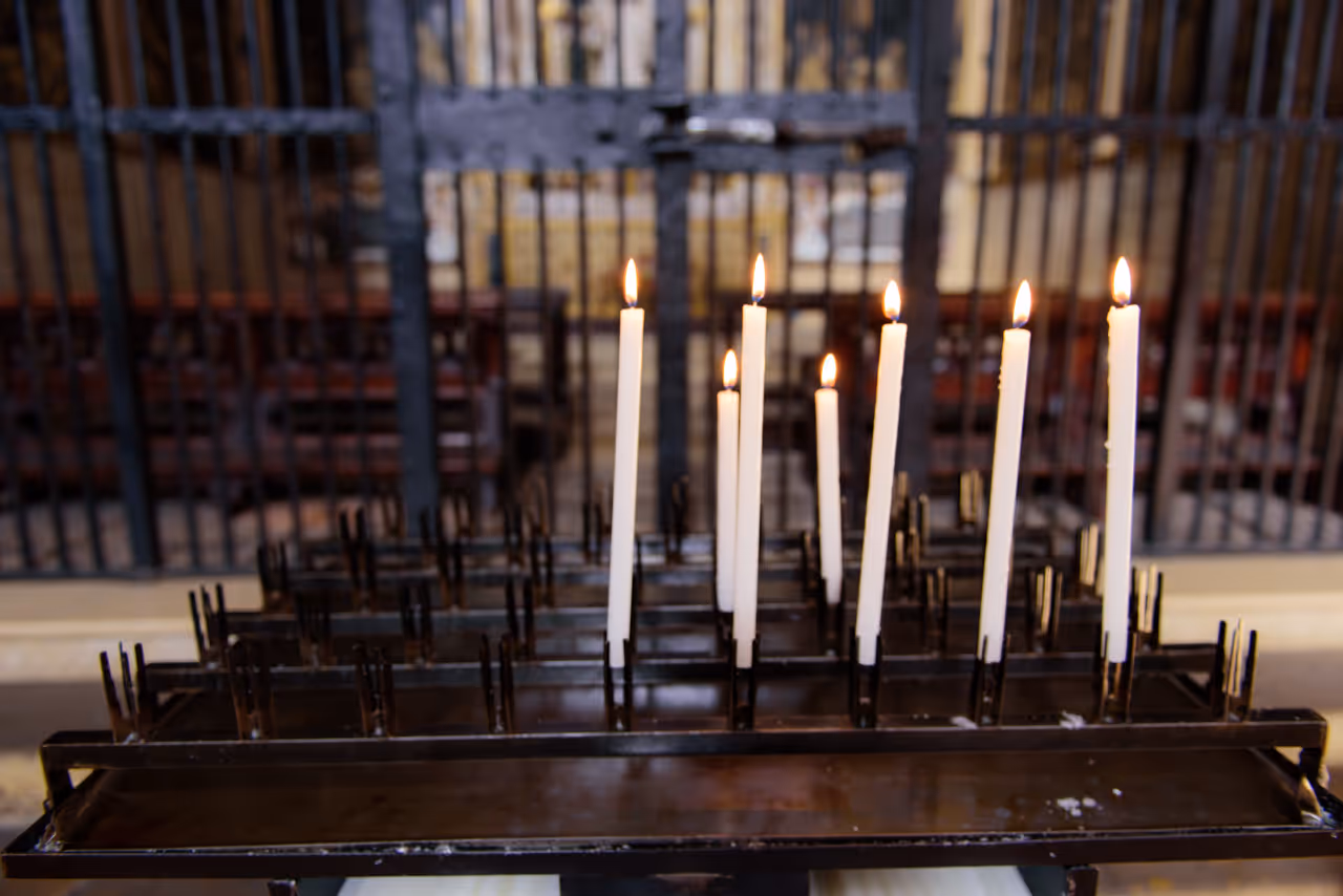 Visit the basilica of santo stefano free activity in Bologna
