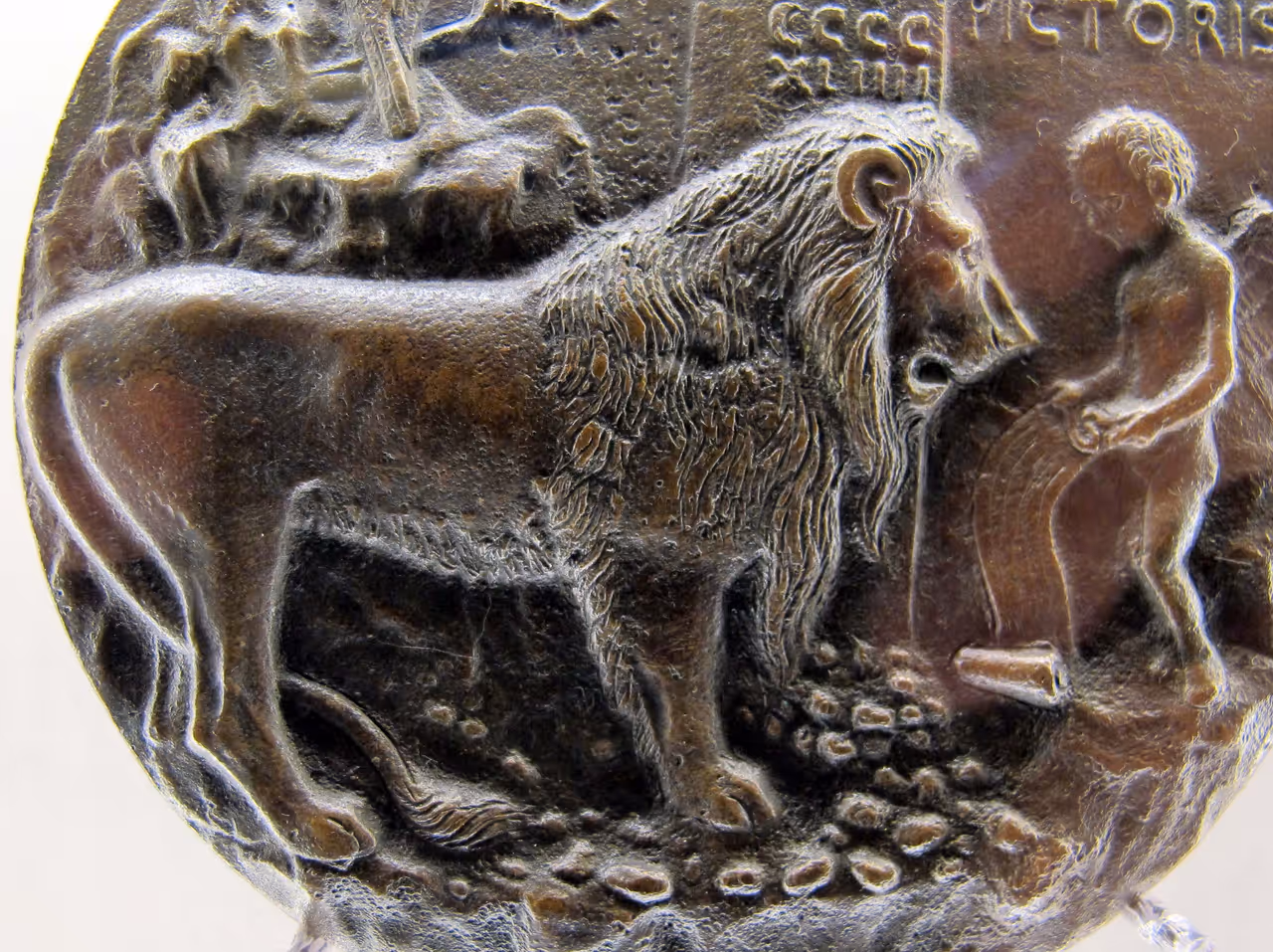 Civic archaeological museum in Bologna
