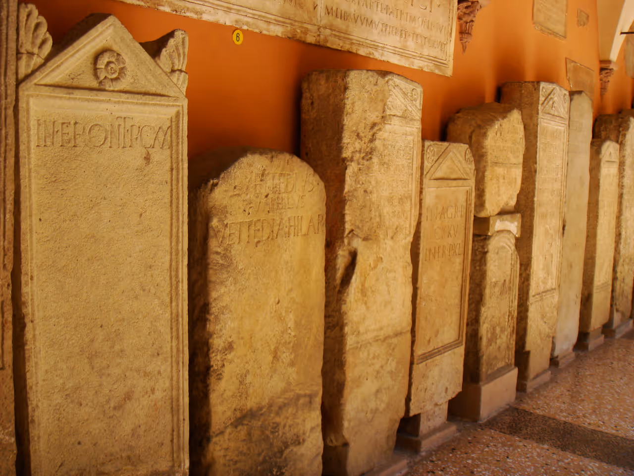 Civic archaeological museum in Bologna