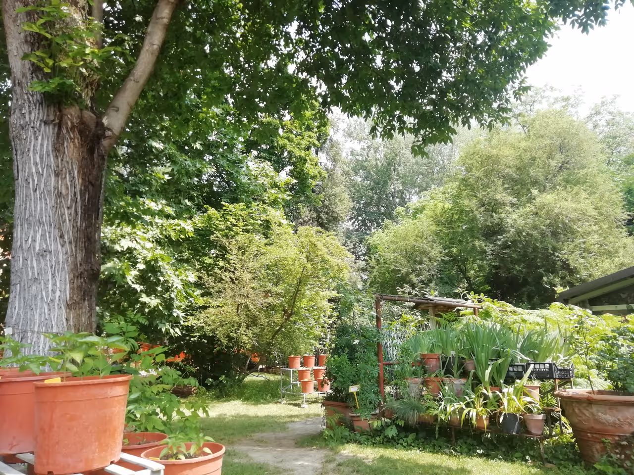 Orto botanico di in Bologna