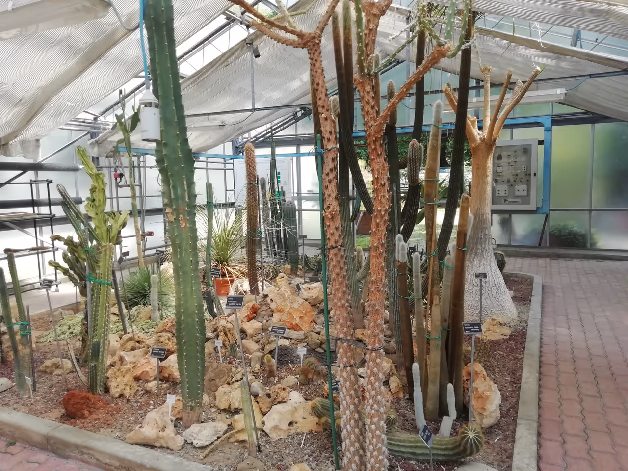 Orto botanico di in Bologna