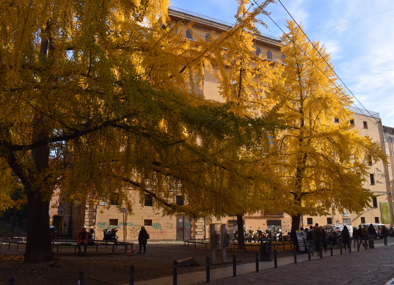 Autumn highlight in Bologna