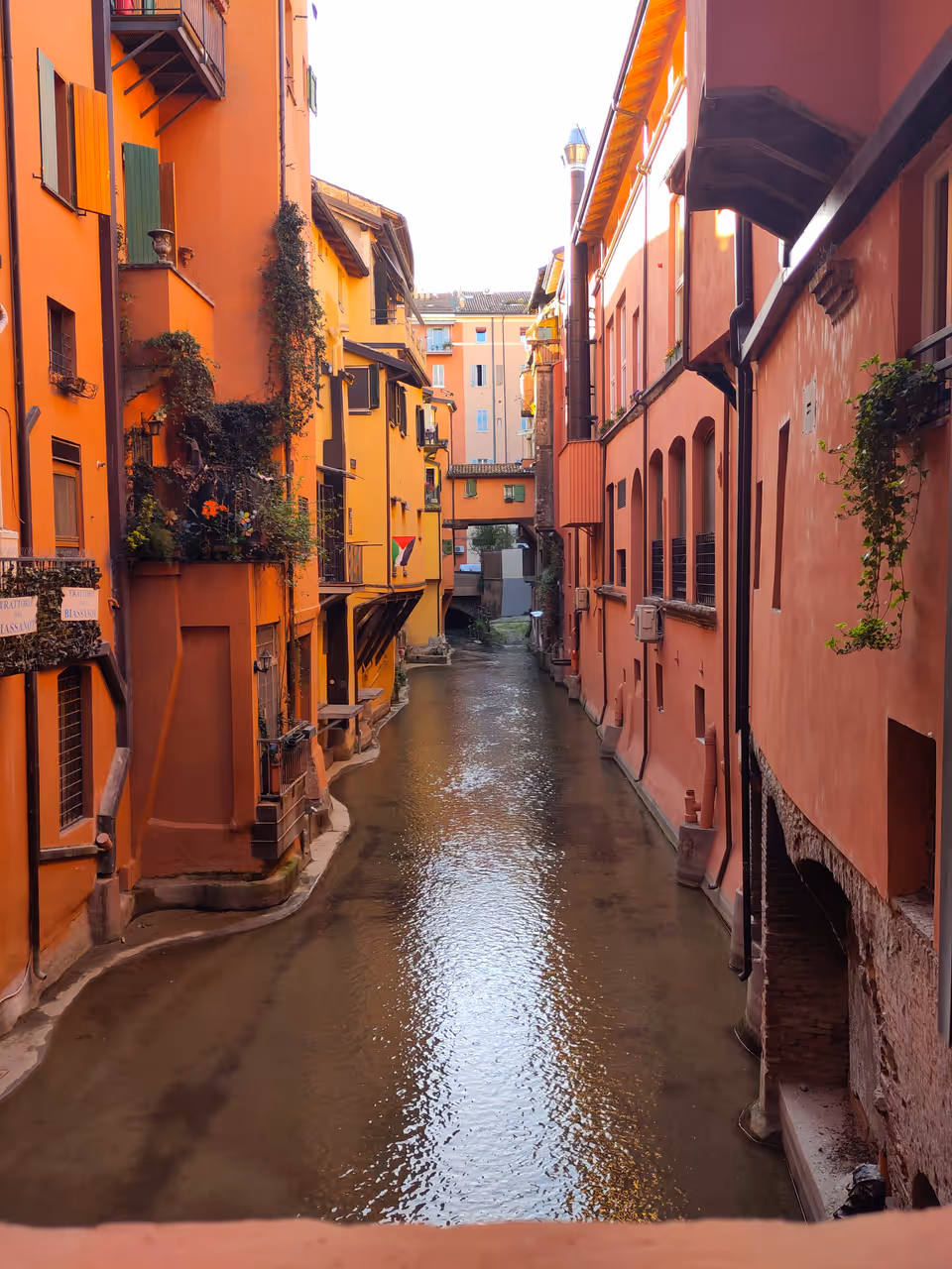 Spring highlight in Bologna