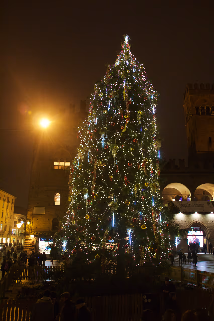 Christmas tree, Bologna