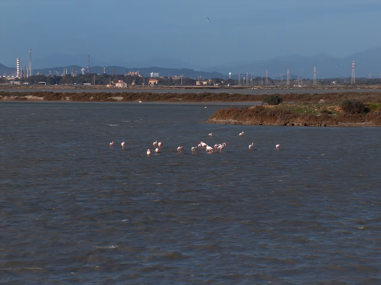 Cycling the flamingo lagoons in Cagliari