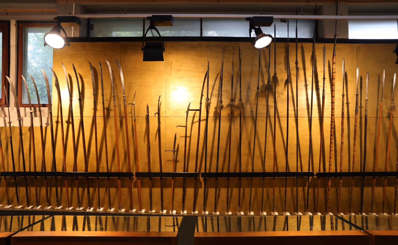 Stefano cardu siamese art museum in Cagliari