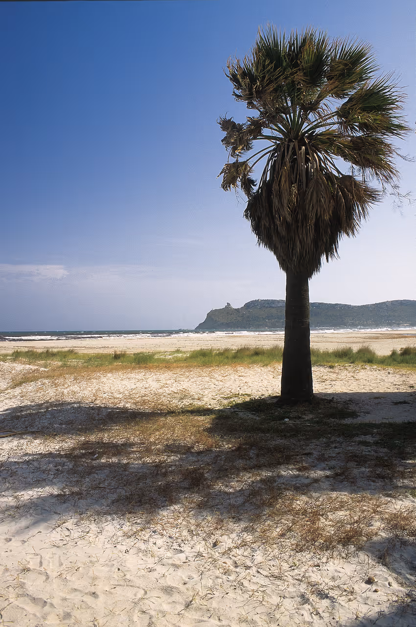 Poetto beach in Cagliari