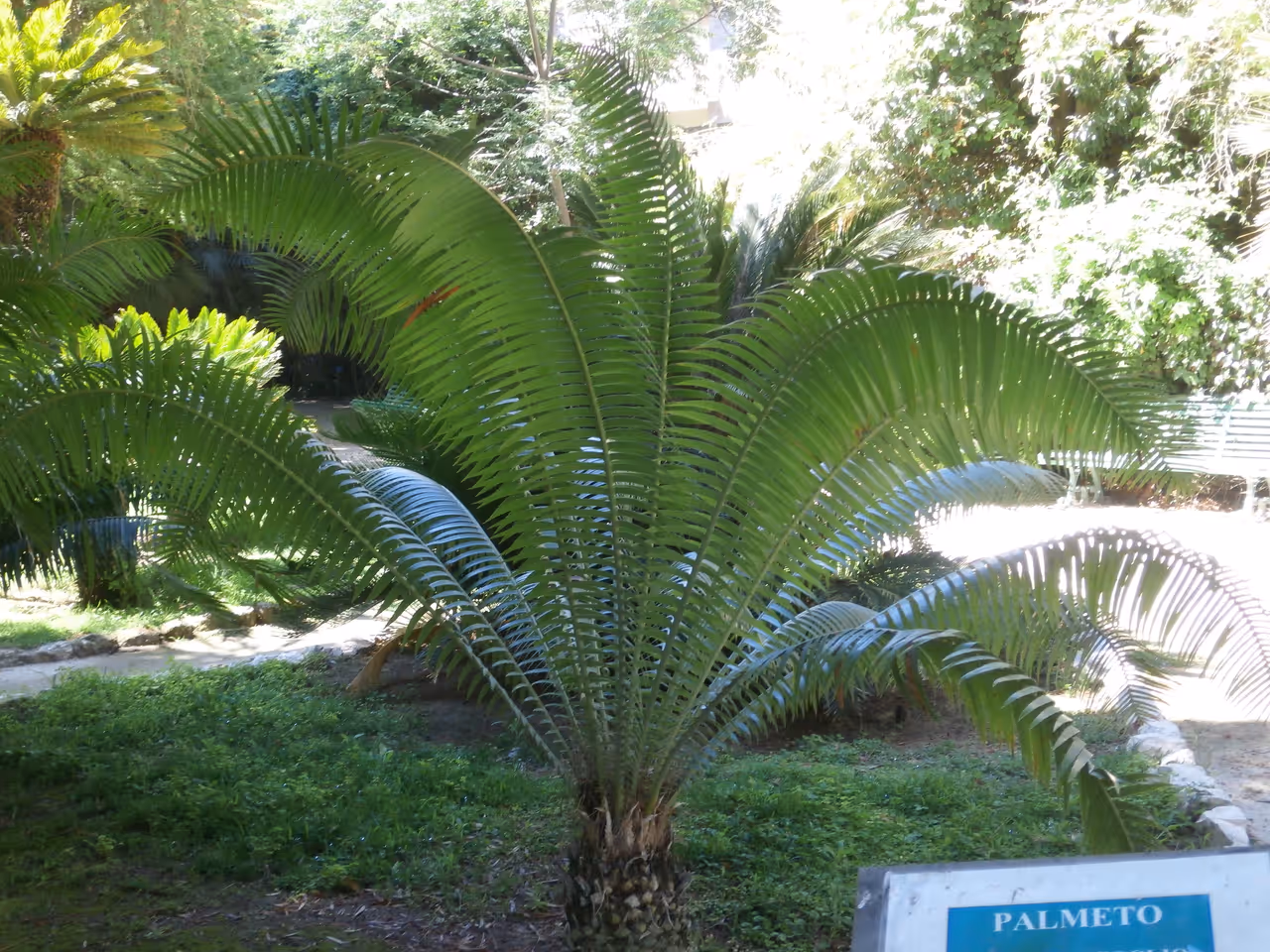 Botanical garden in Cagliari